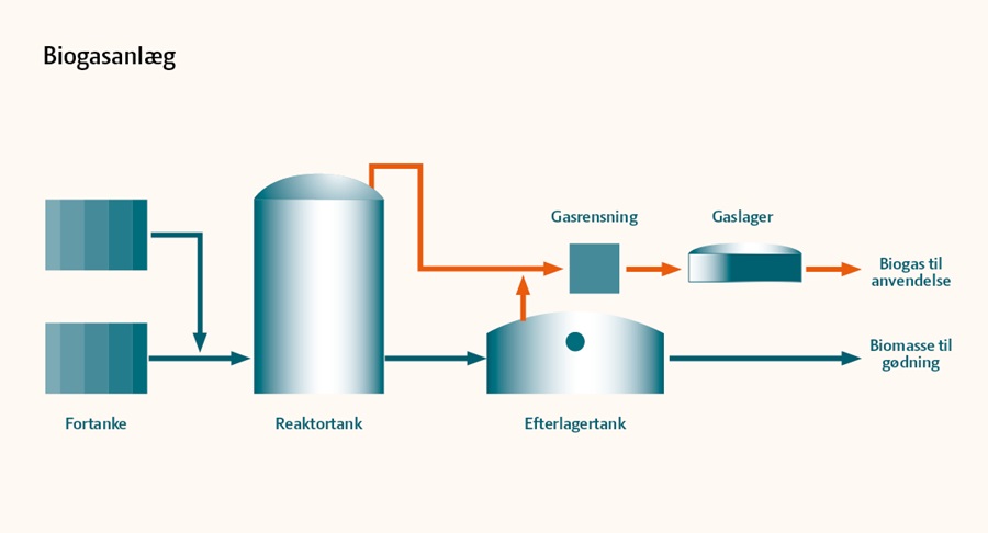 biogasanlæg